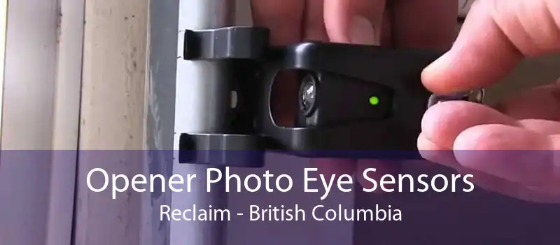Opener Photo Eye Sensors Reclaim - British Columbia