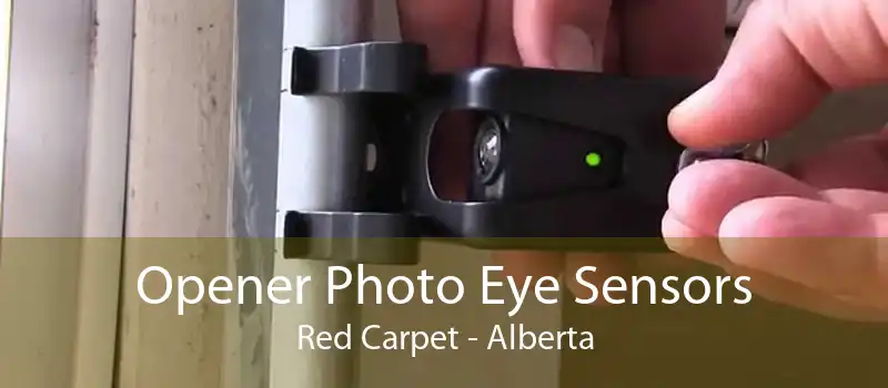 Opener Photo Eye Sensors Red Carpet - Alberta