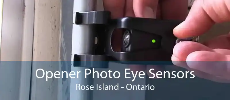 Opener Photo Eye Sensors Rose Island - Ontario