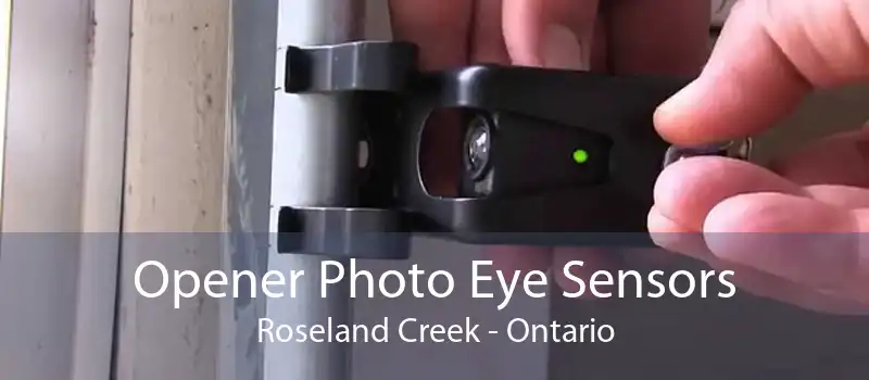Opener Photo Eye Sensors Roseland Creek - Ontario