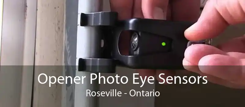 Opener Photo Eye Sensors Roseville - Ontario