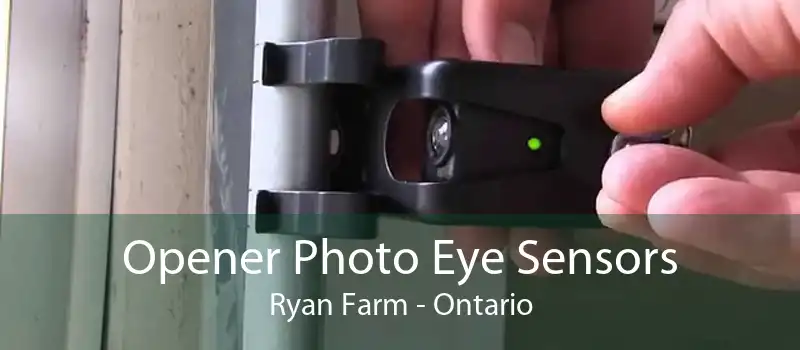 Opener Photo Eye Sensors Ryan Farm - Ontario
