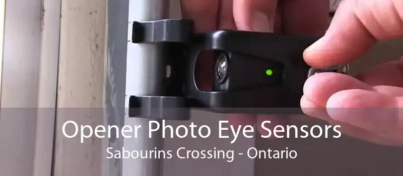 Opener Photo Eye Sensors Sabourins Crossing - Ontario