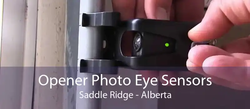 Opener Photo Eye Sensors Saddle Ridge - Alberta
