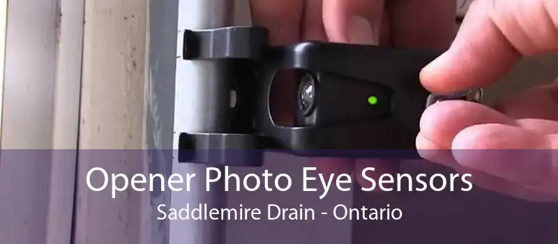 Opener Photo Eye Sensors Saddlemire Drain - Ontario
