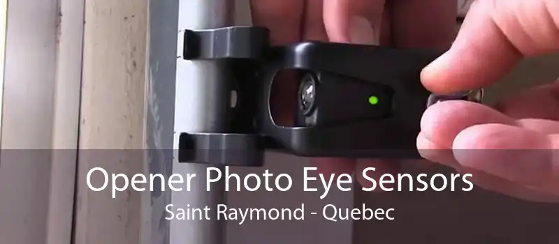 Opener Photo Eye Sensors Saint Raymond - Quebec