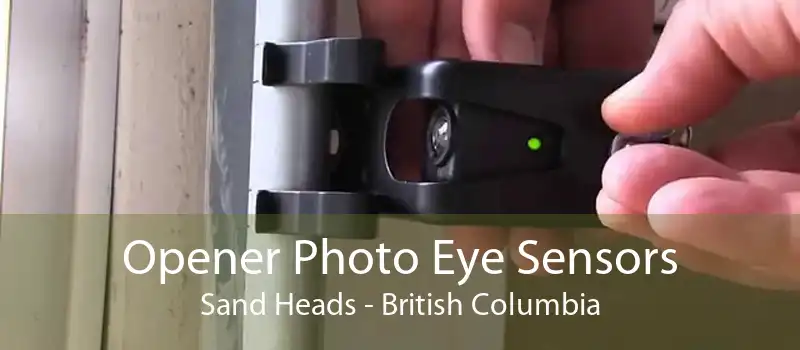 Opener Photo Eye Sensors Sand Heads - British Columbia