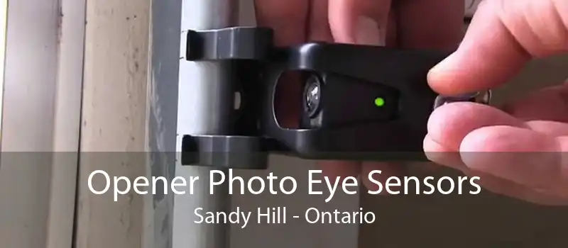 Opener Photo Eye Sensors Sandy Hill - Ontario