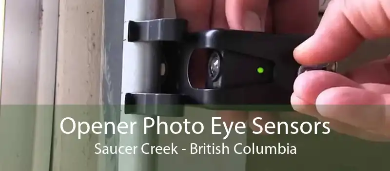 Opener Photo Eye Sensors Saucer Creek - British Columbia