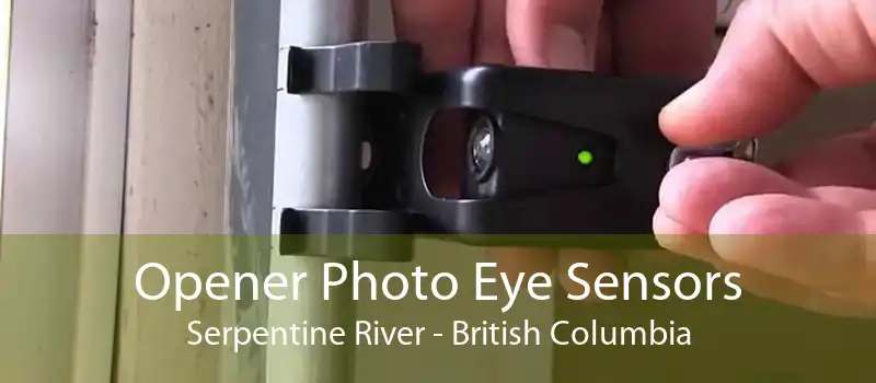 Opener Photo Eye Sensors Serpentine River - British Columbia