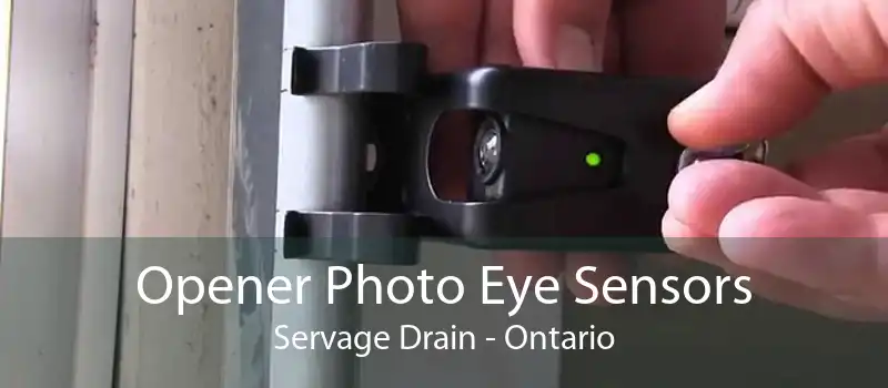 Opener Photo Eye Sensors Servage Drain - Ontario