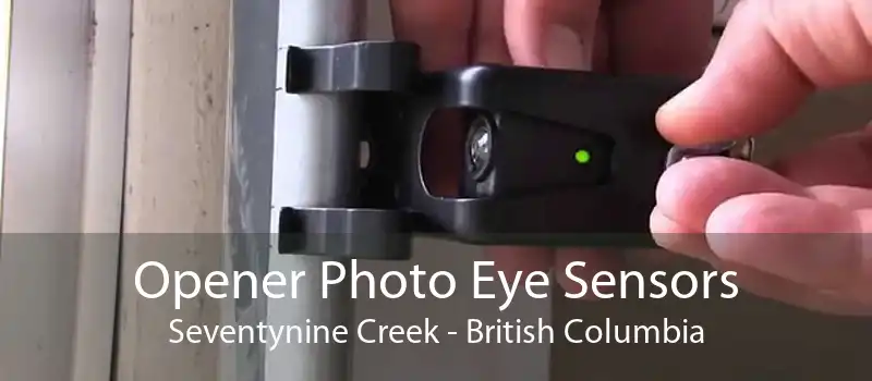 Opener Photo Eye Sensors Seventynine Creek - British Columbia