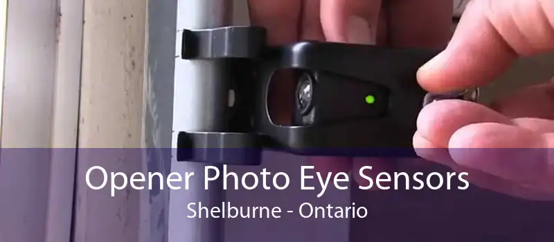 Opener Photo Eye Sensors Shelburne - Ontario
