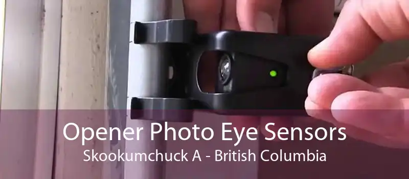 Opener Photo Eye Sensors Skookumchuck A - British Columbia