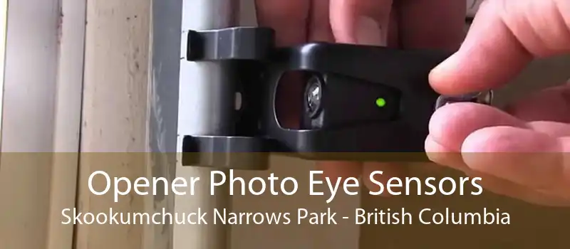 Opener Photo Eye Sensors Skookumchuck Narrows Park - British Columbia