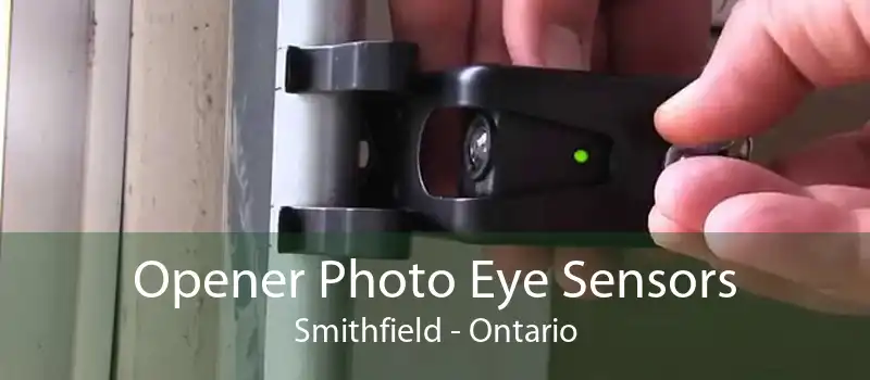 Opener Photo Eye Sensors Smithfield - Ontario
