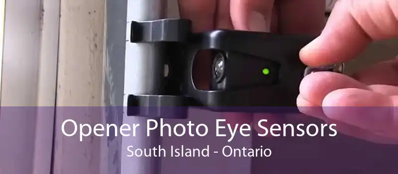 Opener Photo Eye Sensors South Island - Ontario