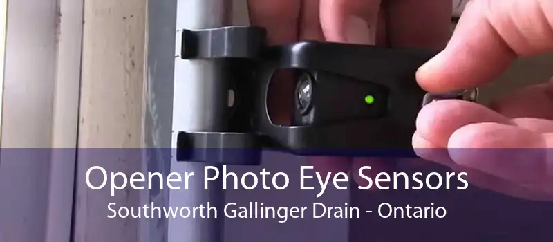 Opener Photo Eye Sensors Southworth Gallinger Drain - Ontario