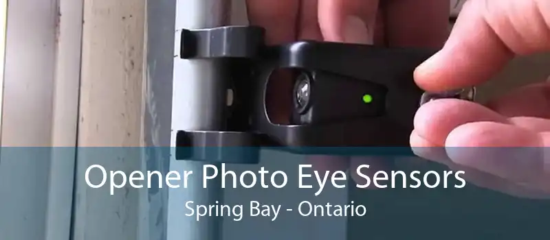 Opener Photo Eye Sensors Spring Bay - Ontario
