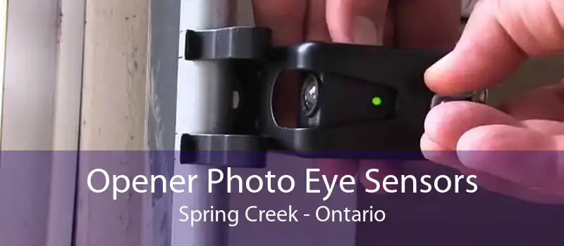 Opener Photo Eye Sensors Spring Creek - Ontario