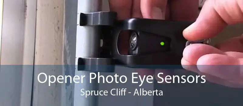 Opener Photo Eye Sensors Spruce Cliff - Alberta