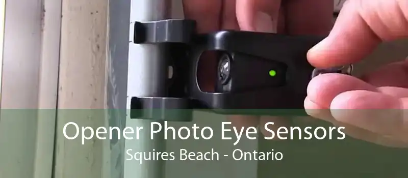 Opener Photo Eye Sensors Squires Beach - Ontario