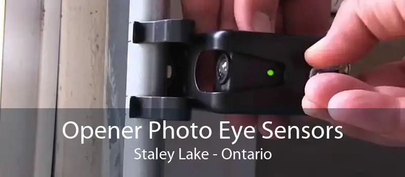Opener Photo Eye Sensors Staley Lake - Ontario