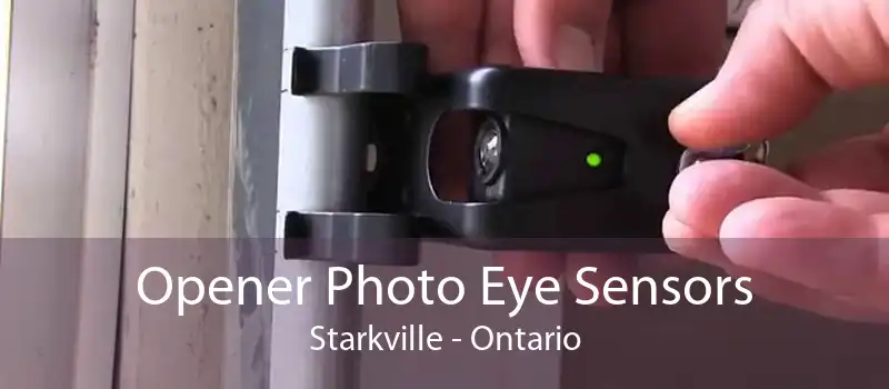Opener Photo Eye Sensors Starkville - Ontario