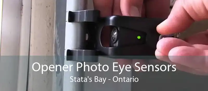 Opener Photo Eye Sensors Stata's Bay - Ontario