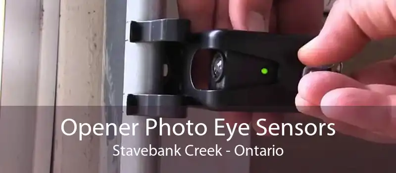 Opener Photo Eye Sensors Stavebank Creek - Ontario