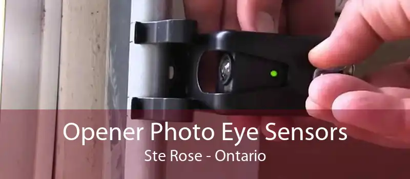 Opener Photo Eye Sensors Ste Rose - Ontario