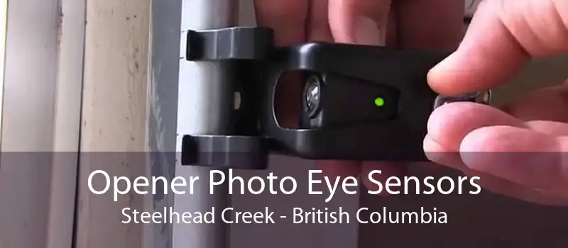 Opener Photo Eye Sensors Steelhead Creek - British Columbia