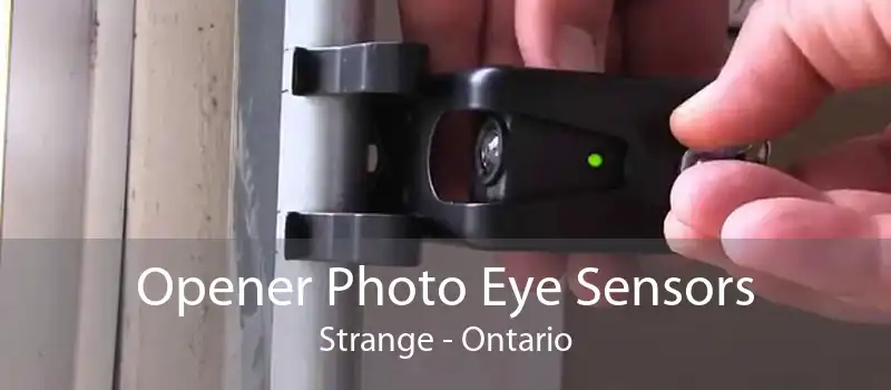 Opener Photo Eye Sensors Strange - Ontario