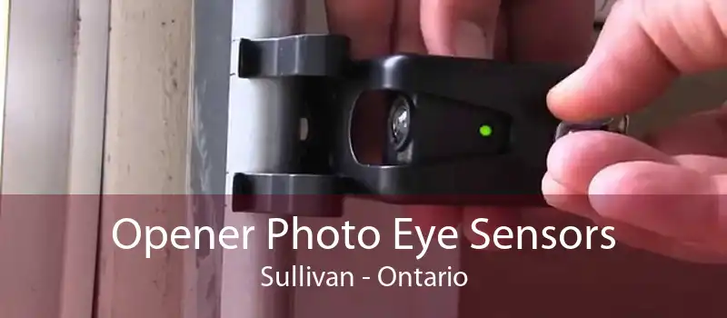 Opener Photo Eye Sensors Sullivan - Ontario