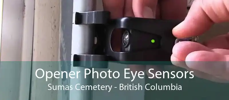 Opener Photo Eye Sensors Sumas Cemetery - British Columbia