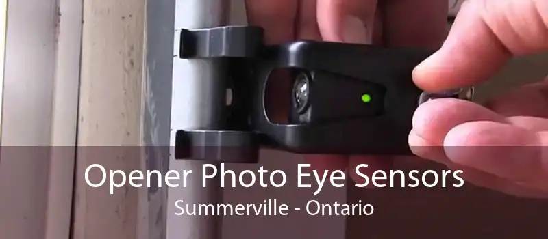 Opener Photo Eye Sensors Summerville - Ontario