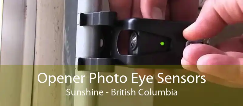 Opener Photo Eye Sensors Sunshine - British Columbia