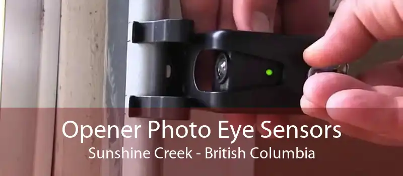 Opener Photo Eye Sensors Sunshine Creek - British Columbia