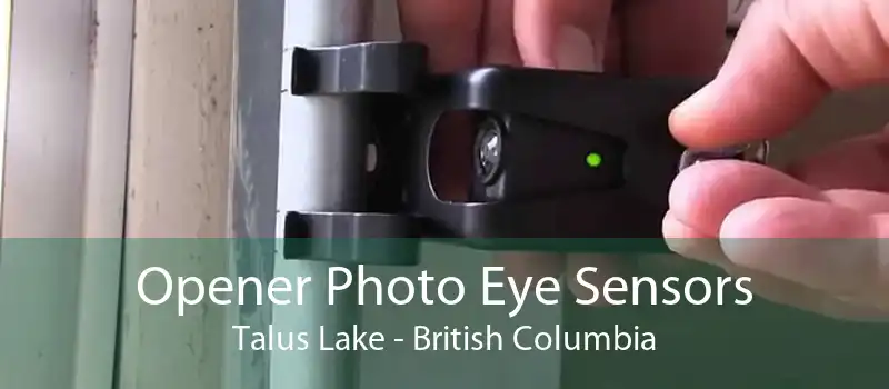 Opener Photo Eye Sensors Talus Lake - British Columbia