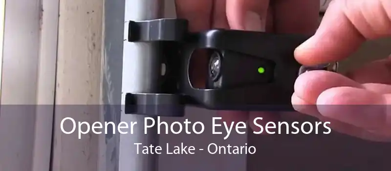 Opener Photo Eye Sensors Tate Lake - Ontario