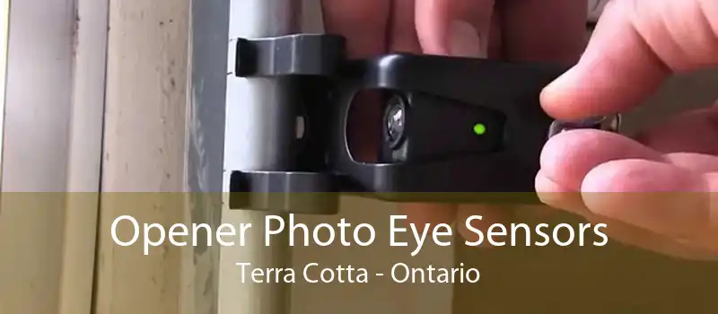 Opener Photo Eye Sensors Terra Cotta - Ontario