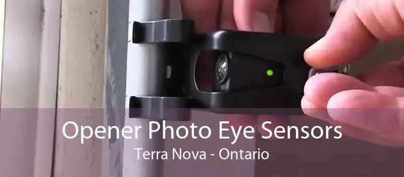 Opener Photo Eye Sensors Terra Nova - Ontario