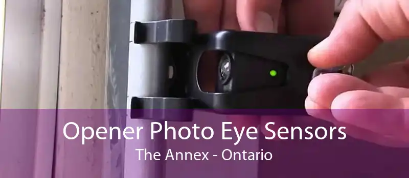 Opener Photo Eye Sensors The Annex - Ontario