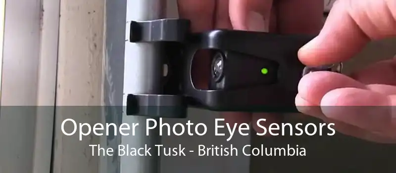 Opener Photo Eye Sensors The Black Tusk - British Columbia