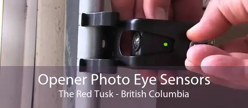 Opener Photo Eye Sensors The Red Tusk - British Columbia