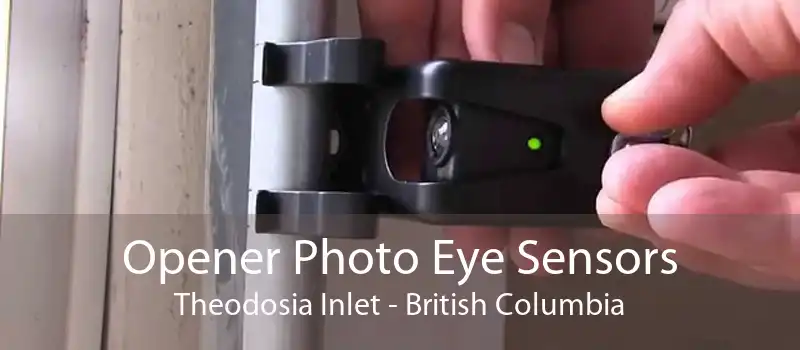 Opener Photo Eye Sensors Theodosia Inlet - British Columbia
