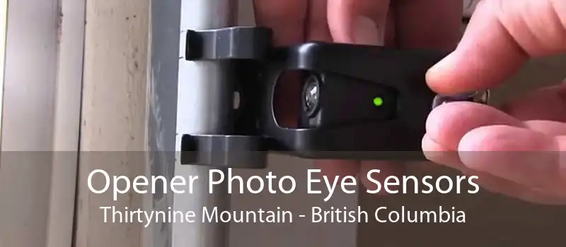 Opener Photo Eye Sensors Thirtynine Mountain - British Columbia