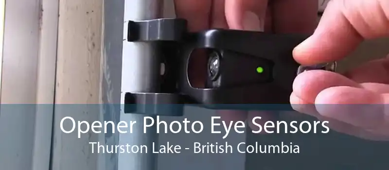 Opener Photo Eye Sensors Thurston Lake - British Columbia