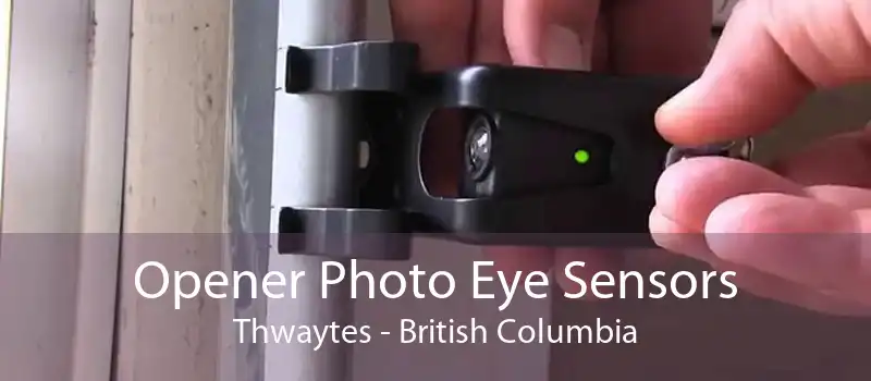 Opener Photo Eye Sensors Thwaytes - British Columbia