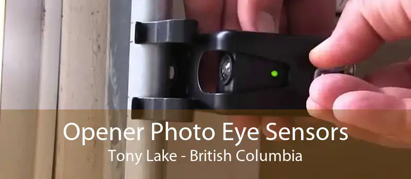 Opener Photo Eye Sensors Tony Lake - British Columbia